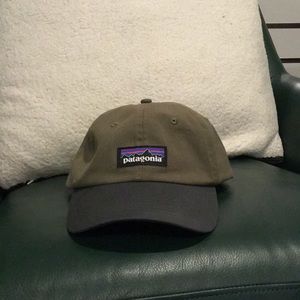 Patagonia Dad Hat
